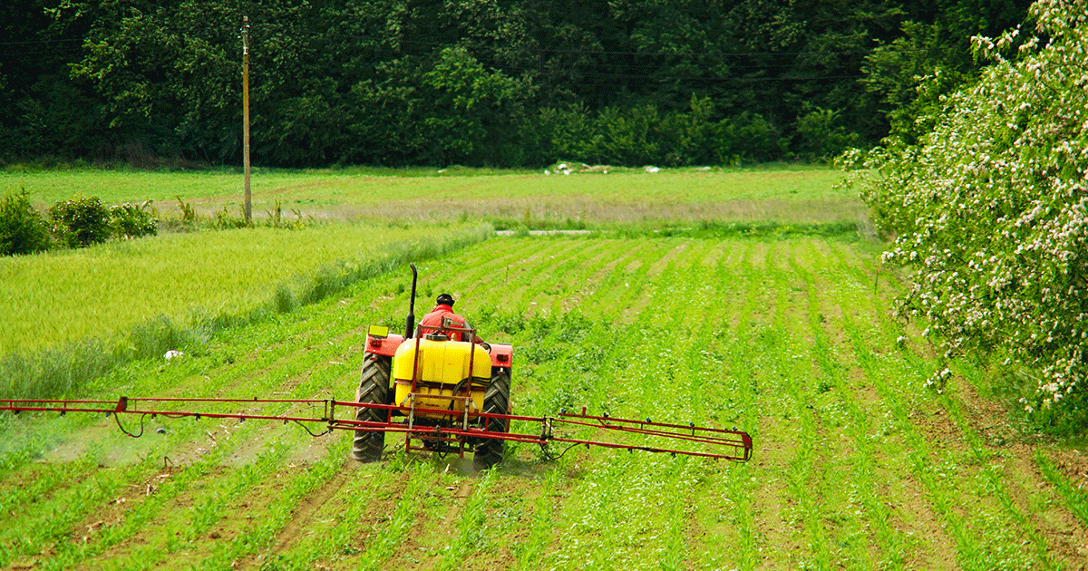 فوائد وأهمية إستخدام الجبس الزراعي/ جبس زراعي في الإمارت