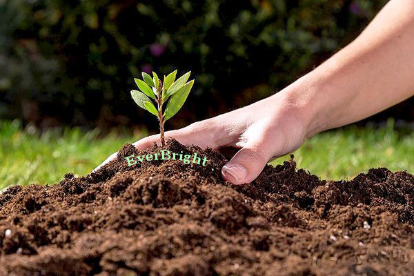 التربة المالحة والقلوية وتصنيفاتها. معالجة ملوحة التربة / علاج ملوحة التربة/ جبس زراعي في الإمارت