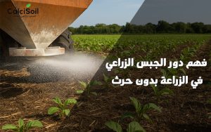 فهم دور الجبس الزراعي في الزراعة بدون حرث