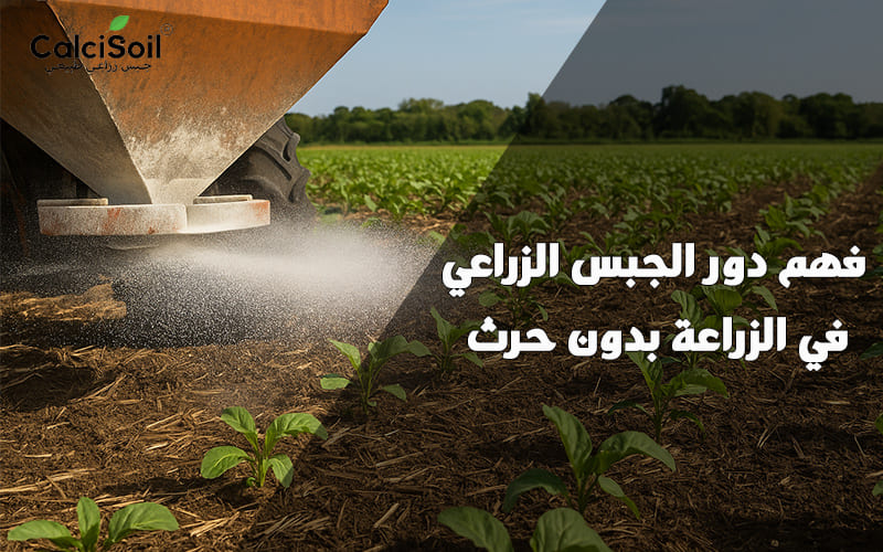 فهم دور الجبس الزراعي في الزراعة بدون حرث