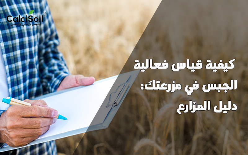 كيفية قياس فعالية الجبس في مزرعتك: دليل المزارع
