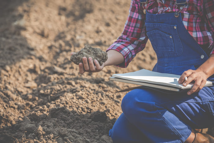 researching soil