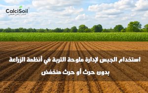 الجبس لإدارة ملوحة التربة في الزراعة بدون حرث