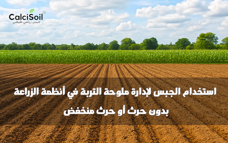 الجبس لإدارة ملوحة التربة في الزراعة بدون حرث