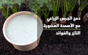 دمج الجبس الزراعي مع الأسمدة العضوية
