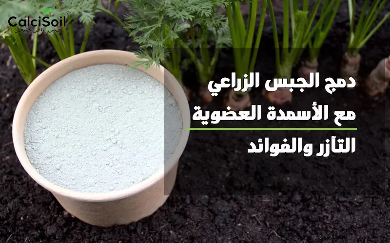 دمج الجبس الزراعي مع الأسمدة العضوية