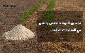تحسين التربة بالجبس والتبن في المناخات الجافة