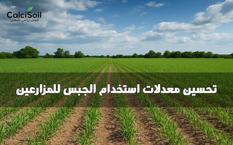 تحسين معدلات استخدام الجبس للمزارعين