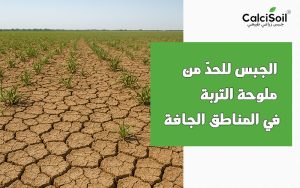 الجبس للحدّ من ملوحة التربة في المناطق الجافة