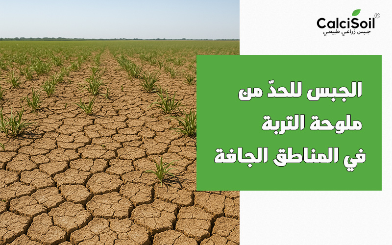الجبس للحدّ من ملوحة التربة في المناطق الجافة