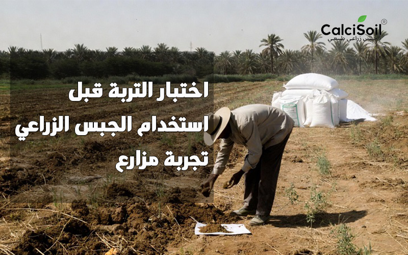 اختبار التربة قبل استخدام الجبس الزراعي: تجربة مزارع