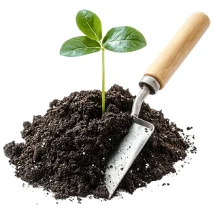 soil-health_11zon