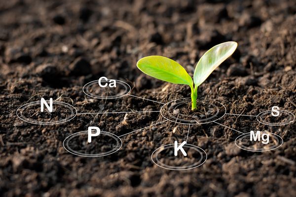 Effects of Gypsum as a Soil Conditioner on Physical Properties of the Soil