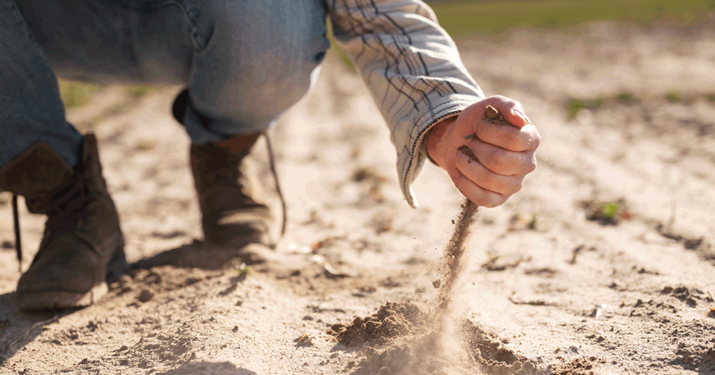 Effects of gypsum on saline and sodic soils