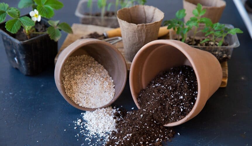 3 Main Horticultural Perlite Benefits