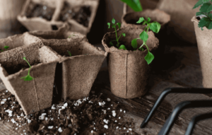 7 Horticultural Perlite effects on plants growing