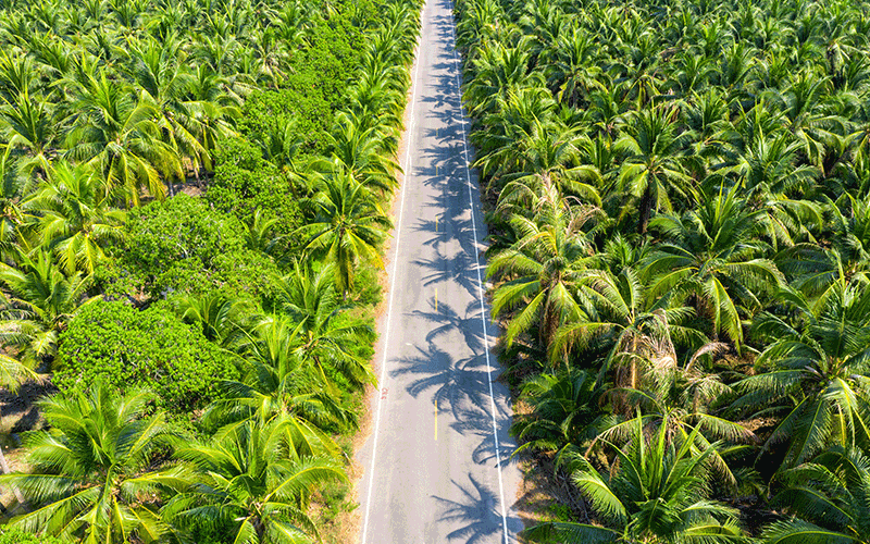 Agricultural gypsum for date palm