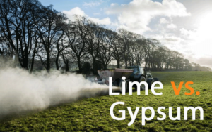 Agricultural Lime vs. Gypsum