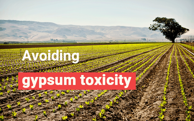 Avoiding gypsum toxicity for agriculture