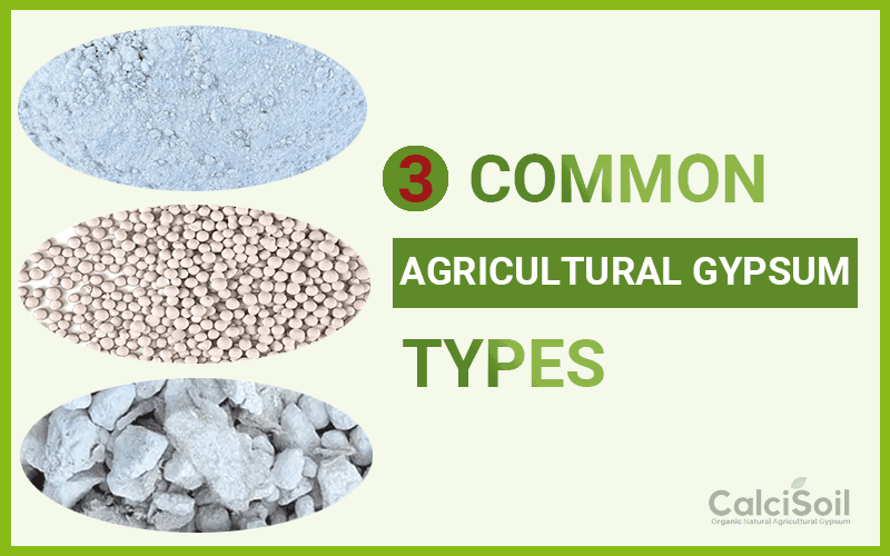 3 Common Agricultural Gypsum Types to boost your soil