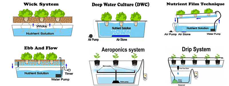 Hydroponic systems