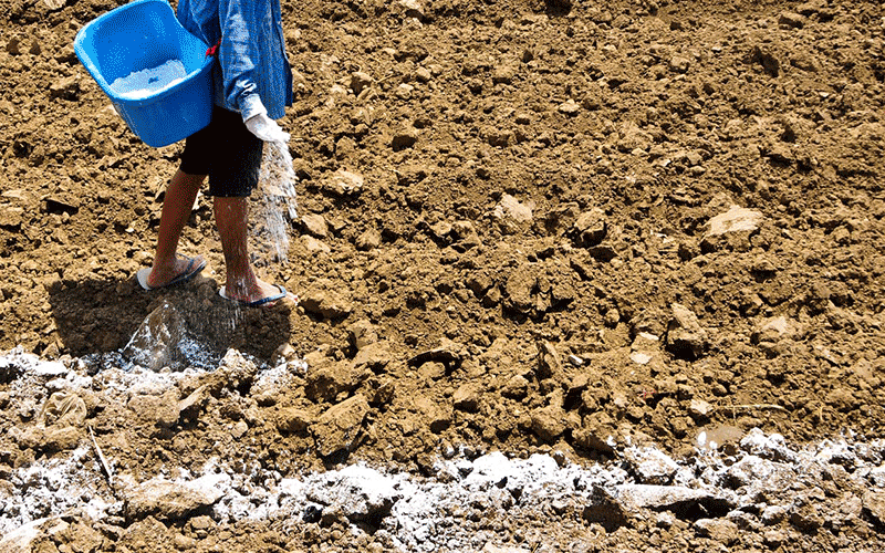 applying gypsum to clay soil