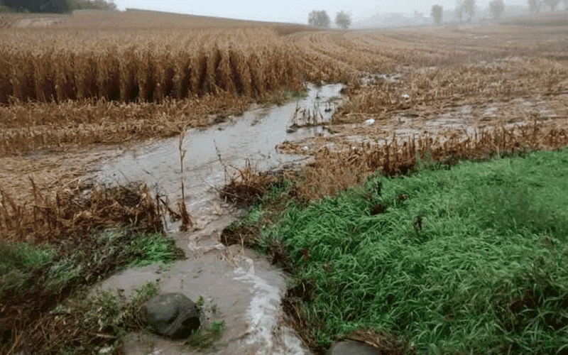 reducing phosphorus runoff