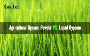 Agricultural Gypsum Powder VS. Liquid Gypsum