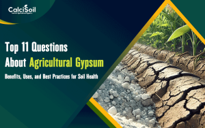 Top 11 Questions About Agricultural Gypsum