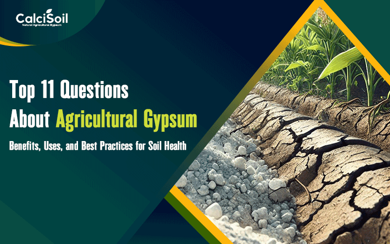 Top 11 Questions About Agricultural Gypsum