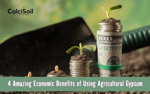 4 Amazing Economic Benefits of Using Agricultural Gypsum