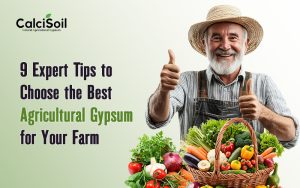 9 Expert Tips to Choose the Best Agricultural Gypsum for Your Farm
