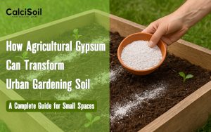 How Agricultural Gypsum Can Transform Urban Gardening Soil