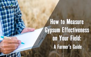 How to Measure Gypsum Effectiveness on Your Field: A Farmer’s Guide