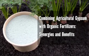 Combining Agricultural Gypsum with Organic Fertilizers