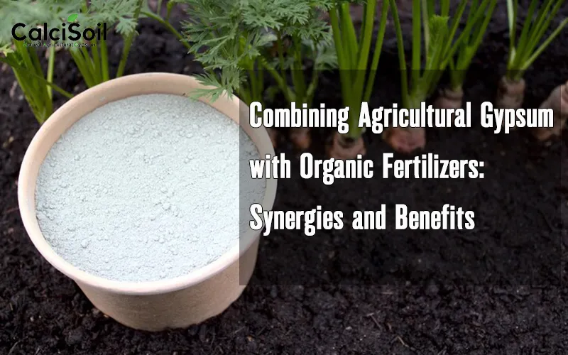 Agricultural Gypsum with Organic Fertilizers: Synergies and Benefits 1 Combining Agricultural Gypsum with Organic Fertilizers
