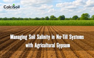 Managing Soil Salinity in No-Till Systems with Agricultural Gypsum
