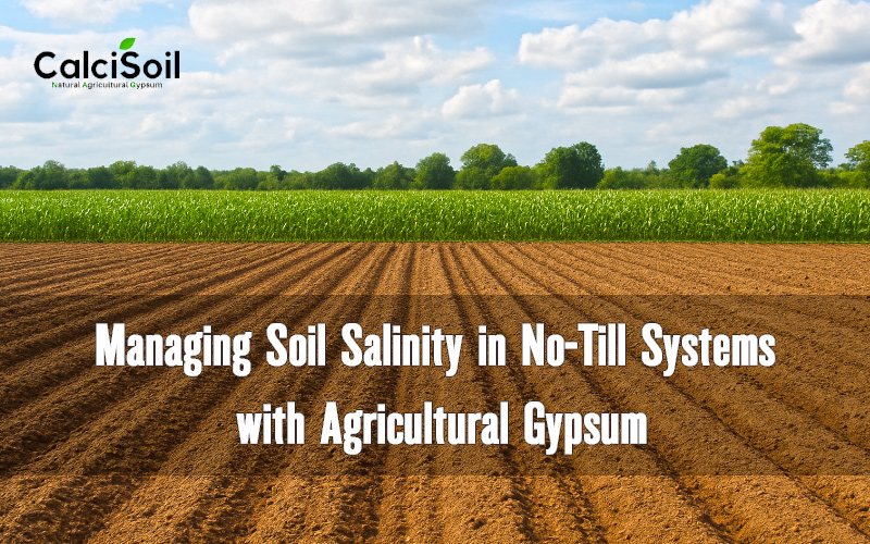 Gypsum for Managing Soil Salinity in No-Till Systems 1 Managing Soil Salinity in No-Till Systems with Agricultural Gypsum