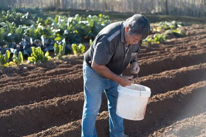 Agricultural Gypsum with Organic Fertilizers: Synergies and Benefits 2 Practical Guidelines for Farmers