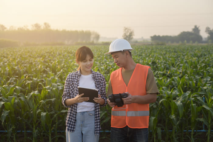 Gypsum for Managing Soil Salinity in No-Till Systems 2 economic consideration
