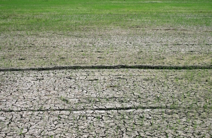 Gypsum in Desert Agriculture 2 Reducing Water Loss