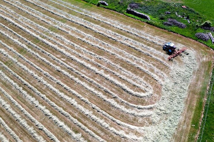 Optimizing Gypsum Application Rates for Farmers 2 applying gypsum