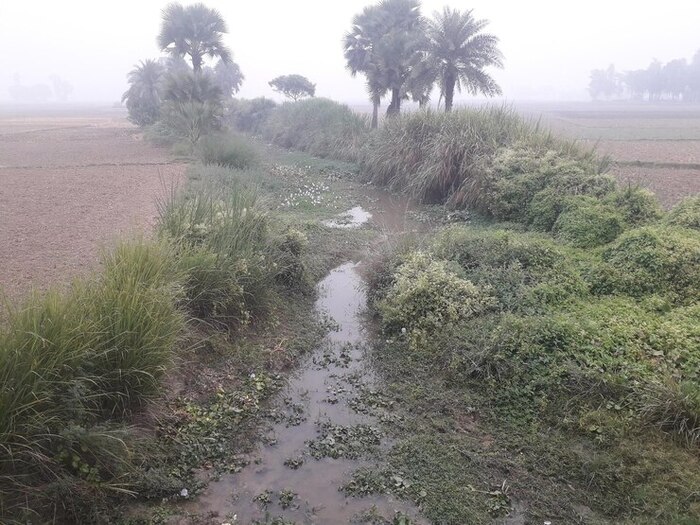 Best Time to Apply Gypsum in Hot Climates 2 seasonal rainfall