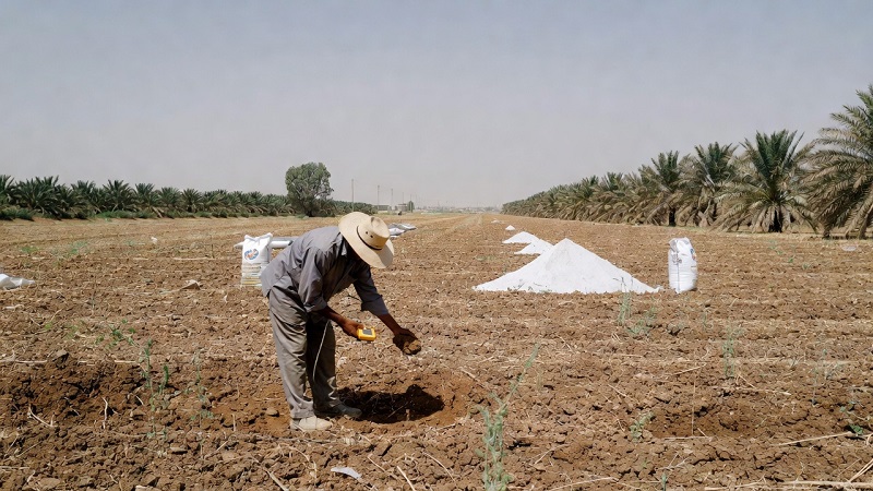 Benefits of Using Gypsum Based on Soil Test Results