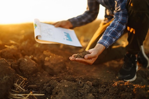 Interpreting Soil Test