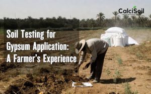 Soil Testing for Gypsum Application: A Farmer’s Experience