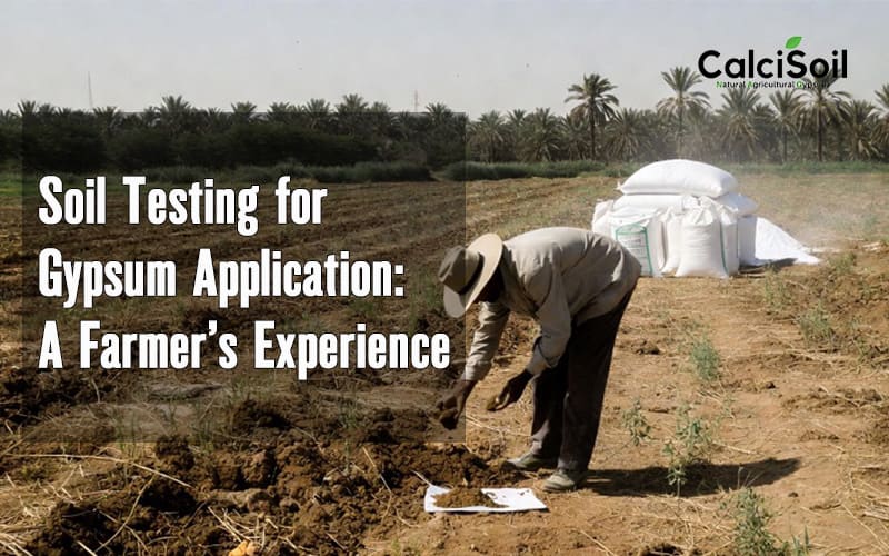 Soil Testing for Gypsum Application: A Farmer’s Experience