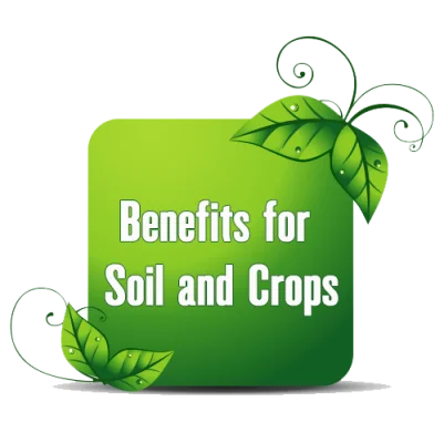 gypsum Benefits for Soil and Crops