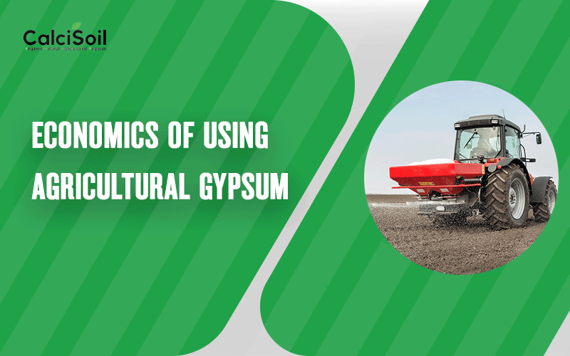 Economics of using agricultural gypsum